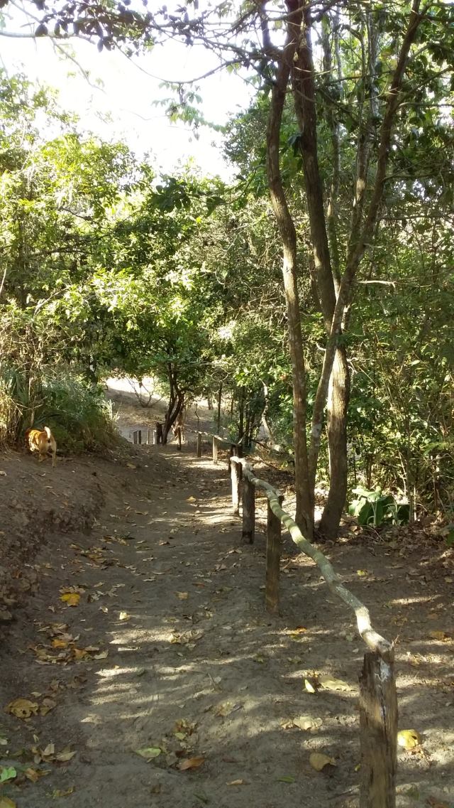 Caminho Rio